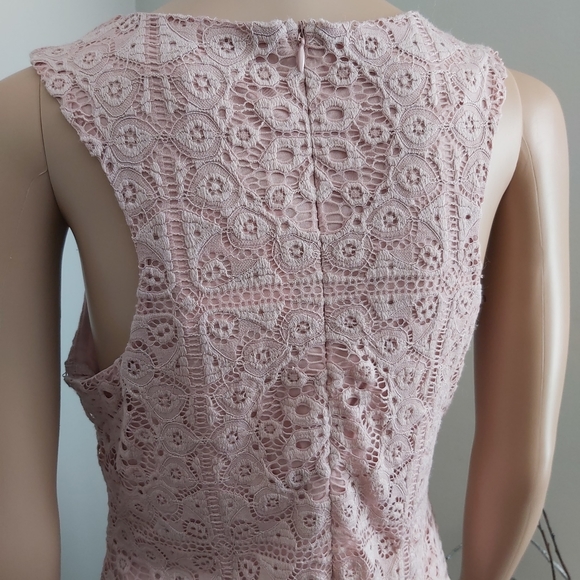 Jack by BB Dakota sheath dress pink lace sleeveless mauve rose cottagecore - Picture 9 of 16